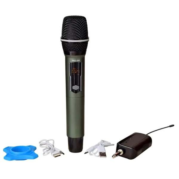 Shengfu CP 113CD Professional Microphone