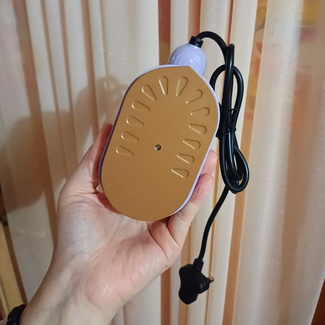 Mini Electric Handheld Steam Iron Gt