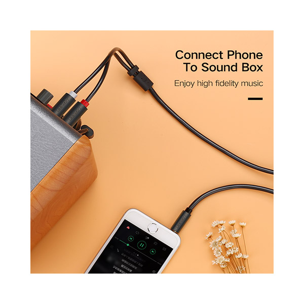 Ugreen Av102 (10514) 3 5Mm Male To 2 Rca Male Audio Cable 10M A